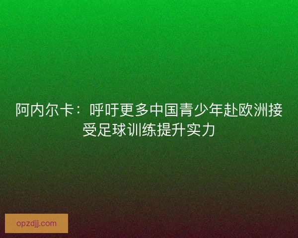 阿内尔卡：呼吁更多中国青少年赴欧洲接受足球训练提升实力